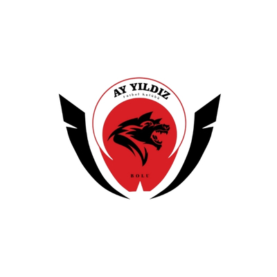 AYYILDIZ FK