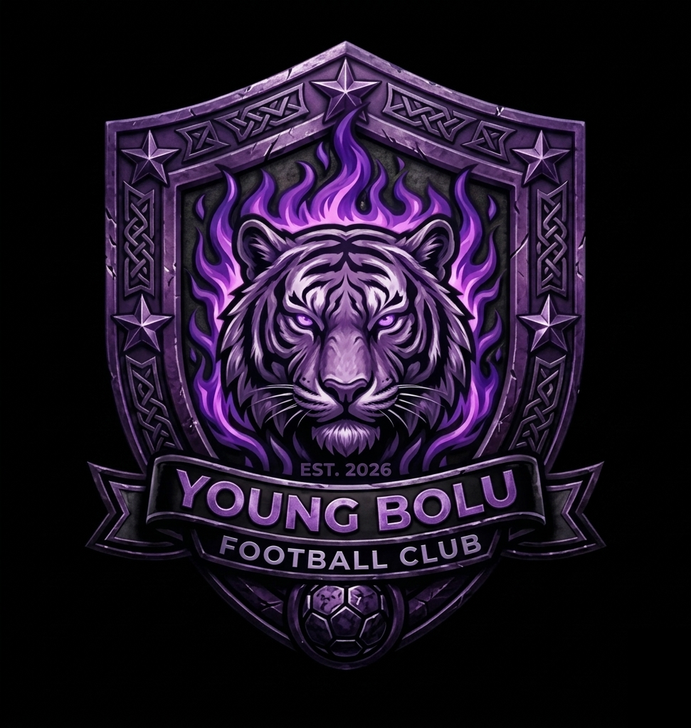 YOUNG BOLU FC